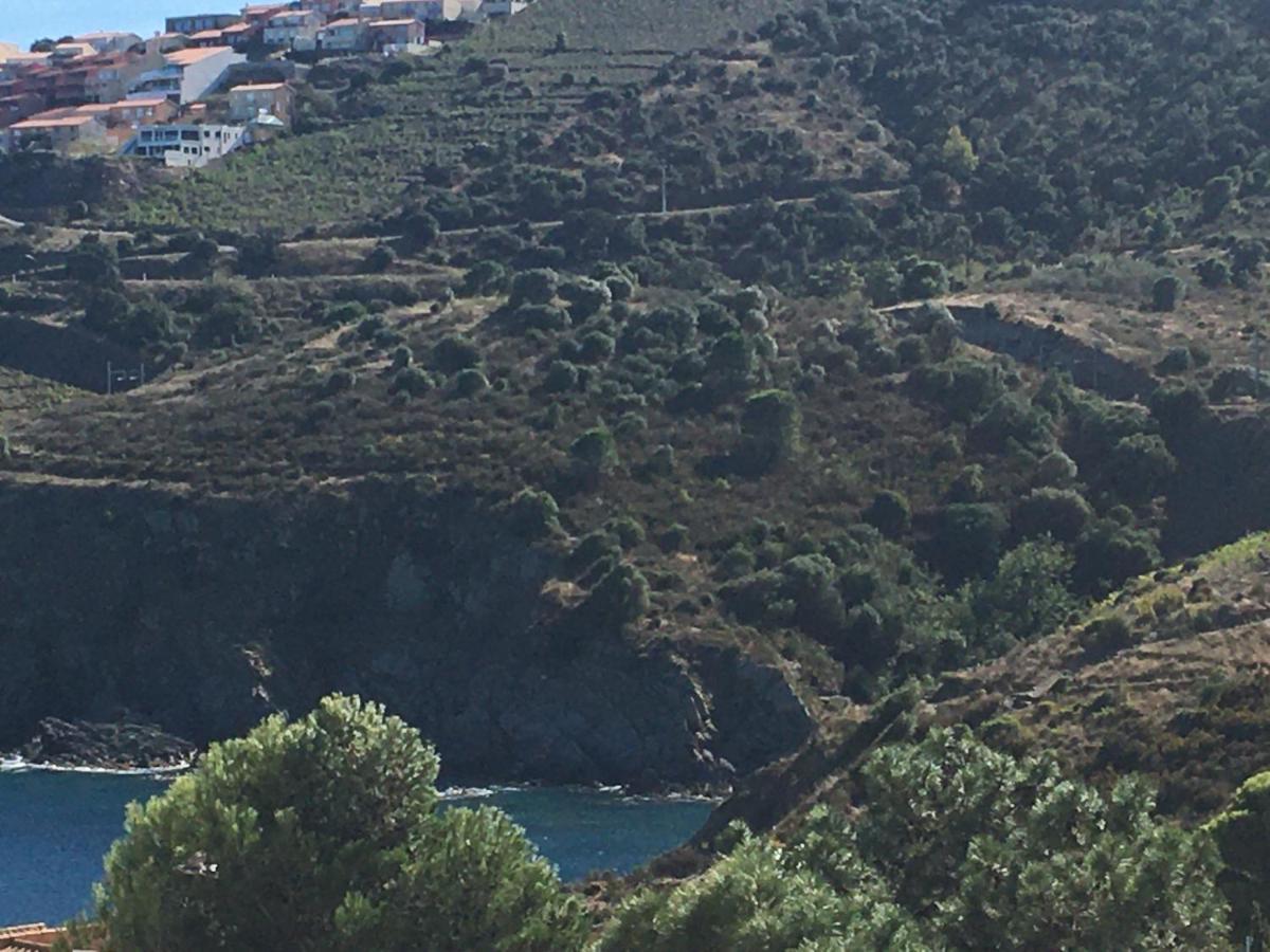 Aloes Daire Cerbère Dış mekan fotoğraf