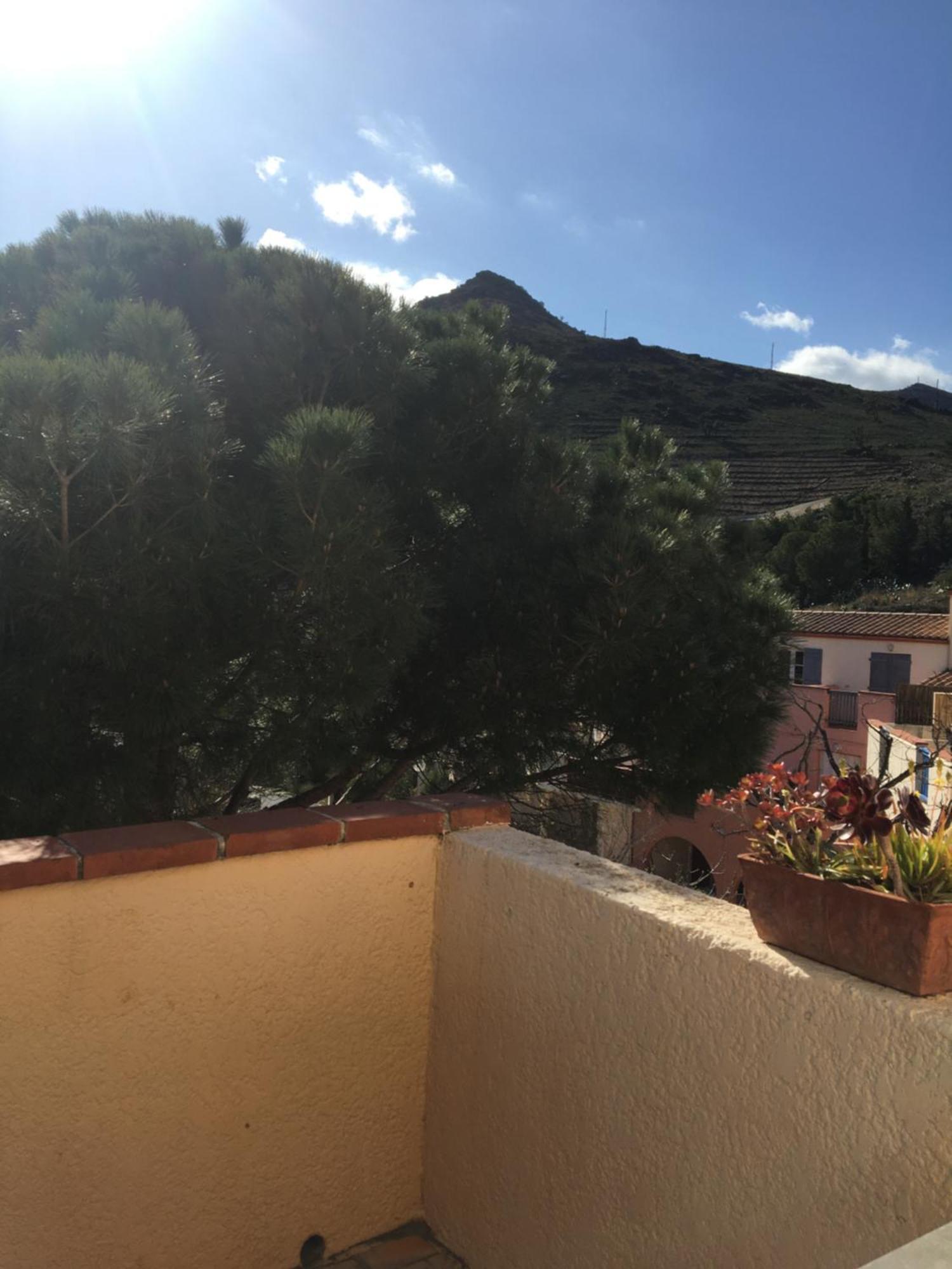 Aloes Daire Cerbère Dış mekan fotoğraf
